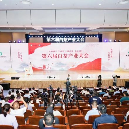 第六届白茶产业大会 2026年政和白茶品牌宣传推广活动举行